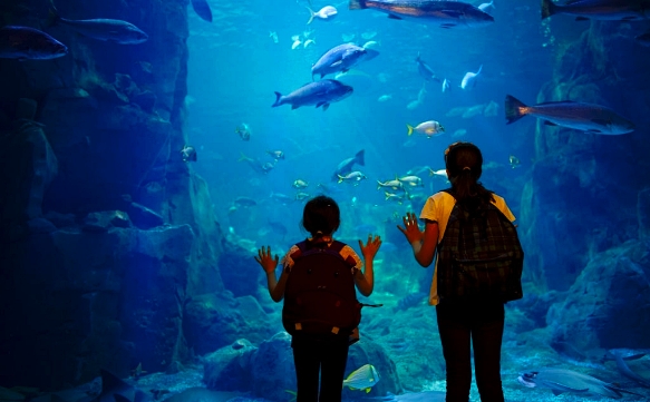 Antalya Aquarium One Of The Largest Aquarium Complexes